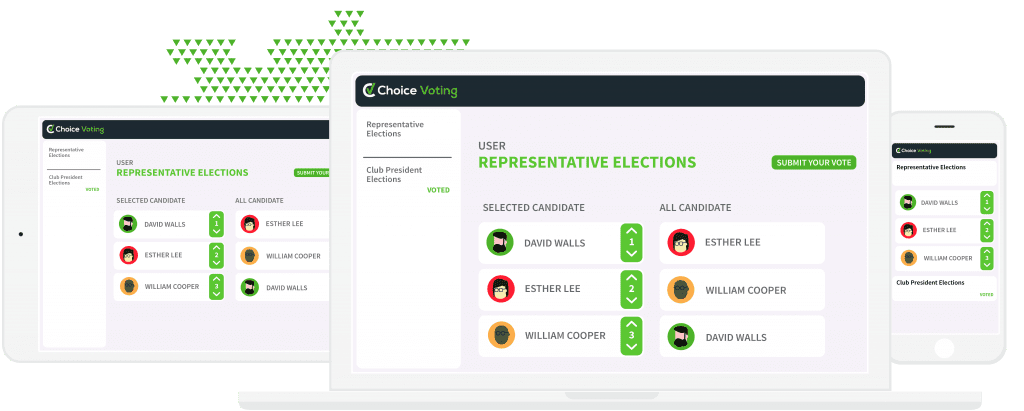 choice_voting-08-1